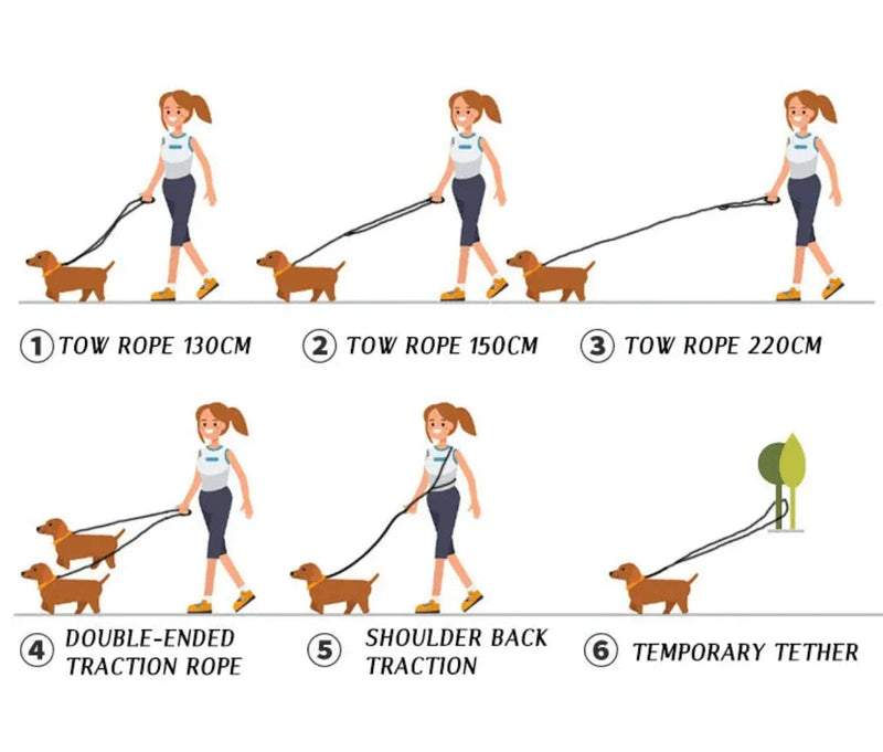 Reflective Hands-Free Dog Lead with Multiple Walking Configurations