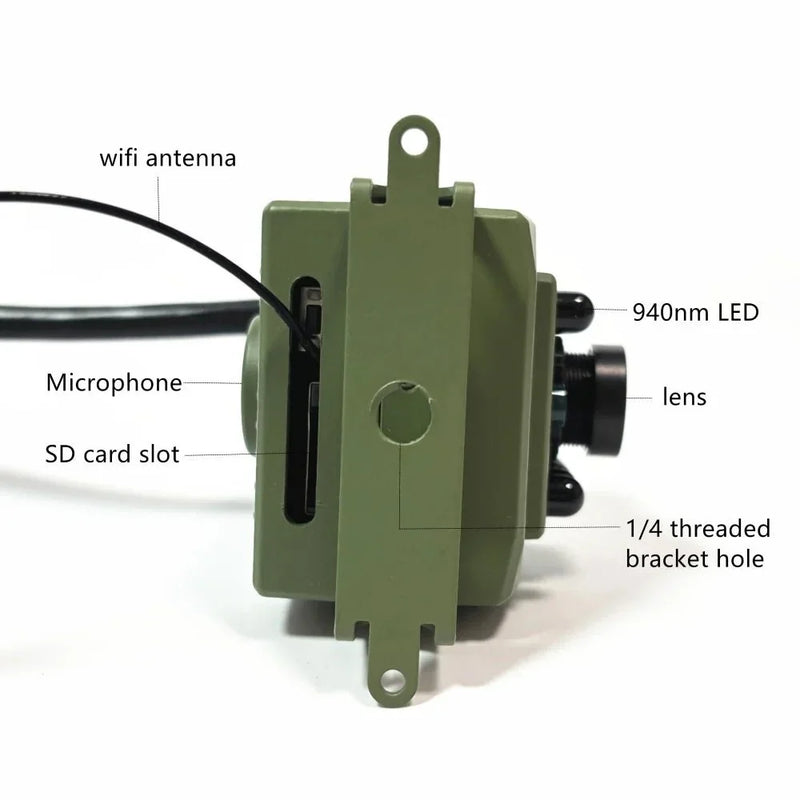 1080p Wi-Fi Birdwatching Camera with Motion Detection & Night Vision