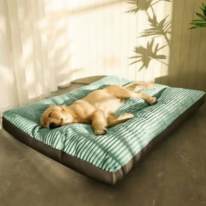 FLAUSCHNEST – Confort douillet pour chiens