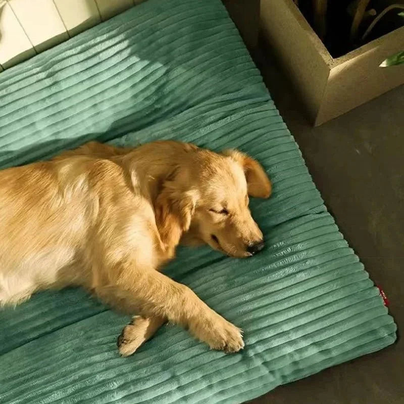 FLAUSCHNEST – Confort douillet pour chiens