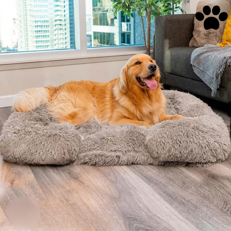 Memory Foam Dog Bed with Removable Cover