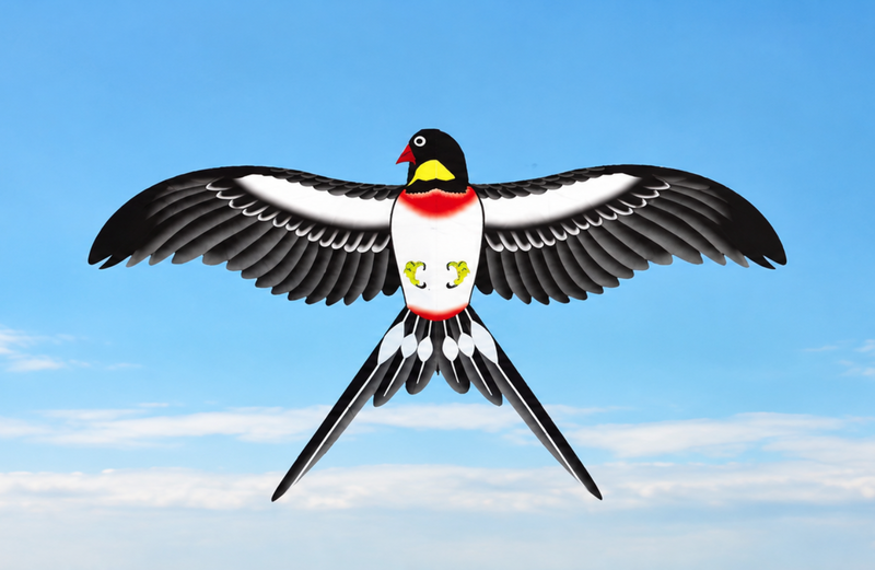 Parrot Kite with Large Colourful Wings and Long Tail Ribbons
