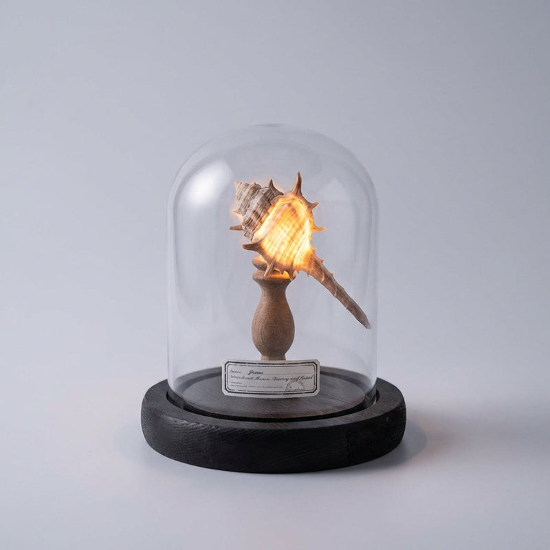 Maris Seashell Glass Dome Night Light