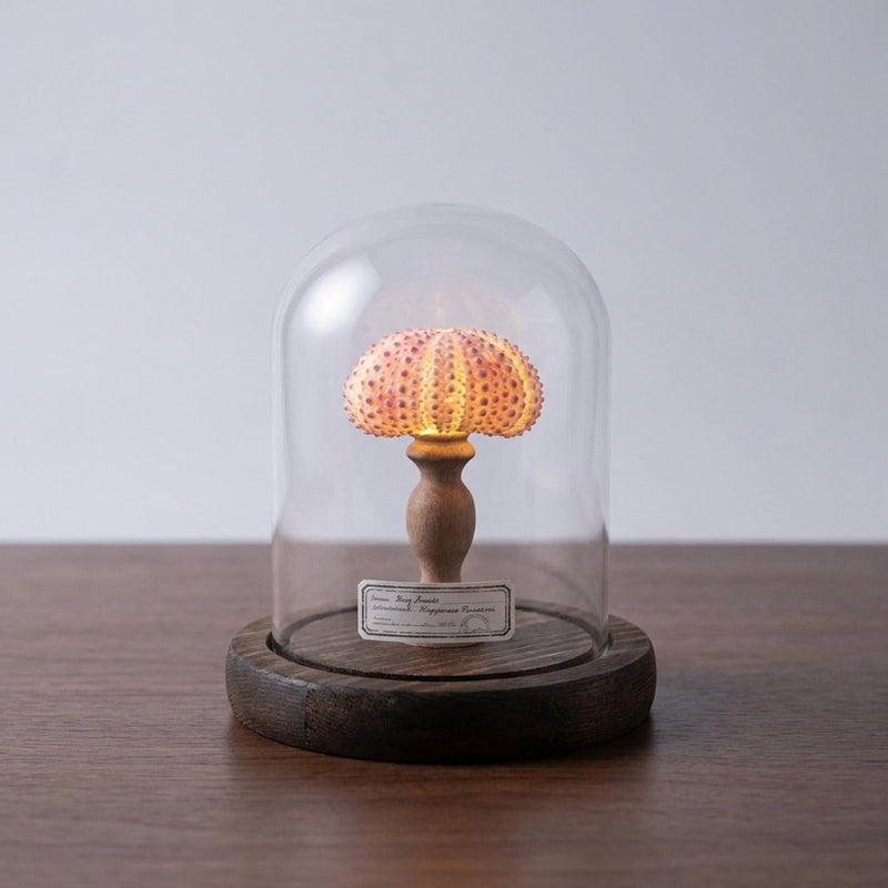Maris Seashell Glass Dome Night Light