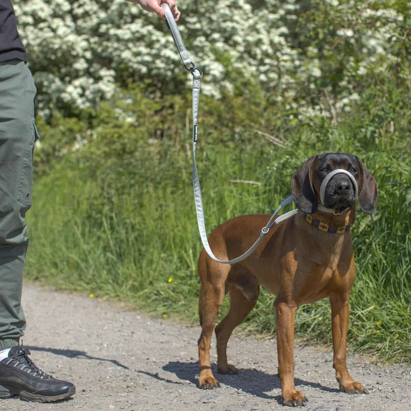 Reflective No-Pull Dog Leash with Padded Handle