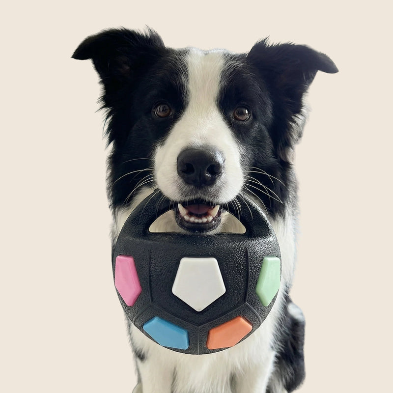 Tough Rubber Dog Ball for Strong Chewers