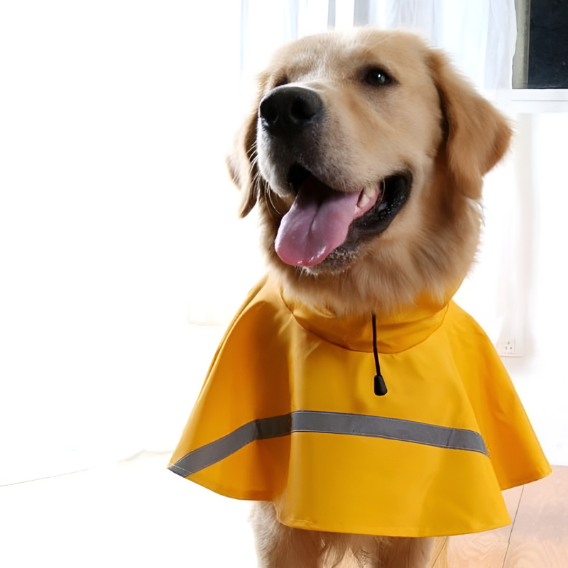 Raincoat for Dogs with Reflective Strip and Waterproof Design