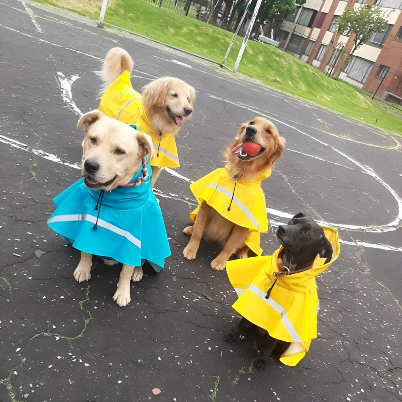 Raincoat for Dogs with Reflective Strip and Waterproof Design