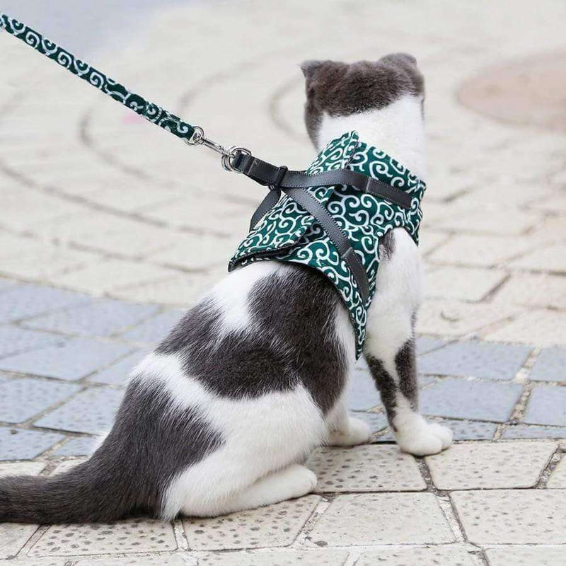 Cat Harness and Leash Set with Adjustable Straps and Mesh Padding