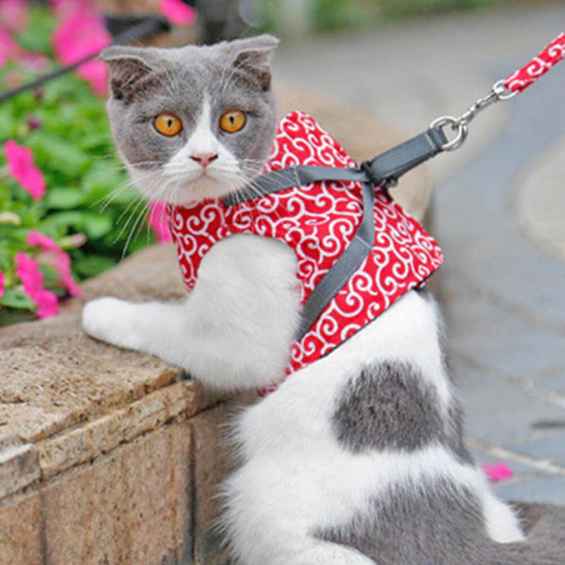 Cat Harness and Leash Set with Adjustable Straps and Mesh Padding