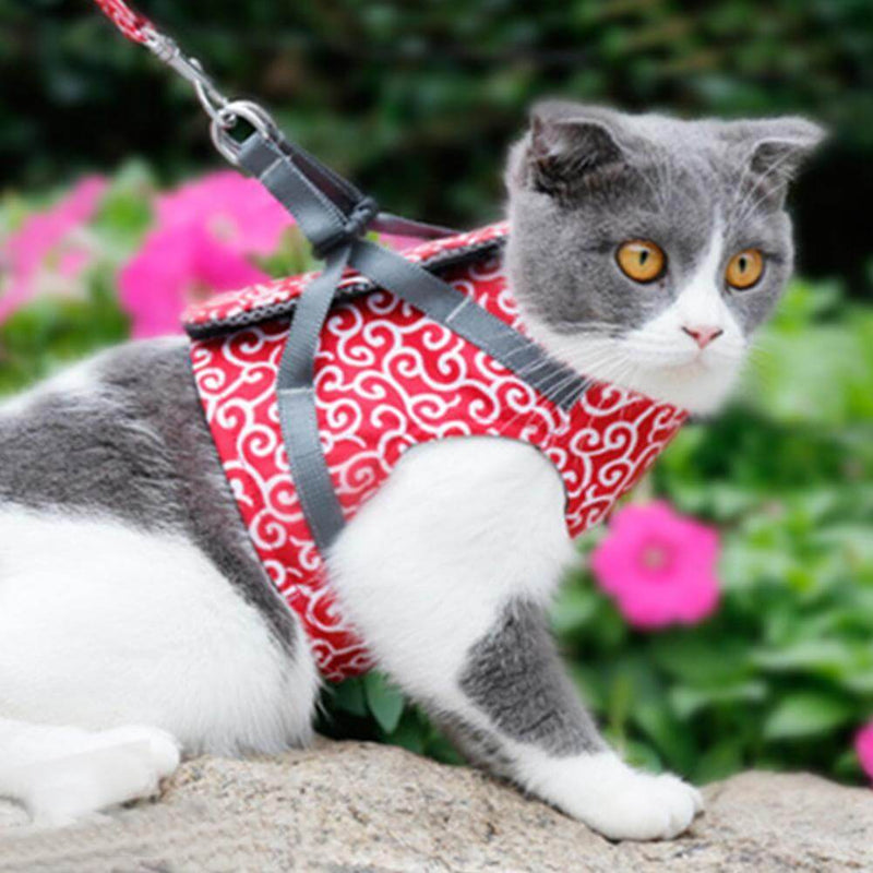 Cat Harness and Leash Set with Adjustable Straps and Mesh Padding