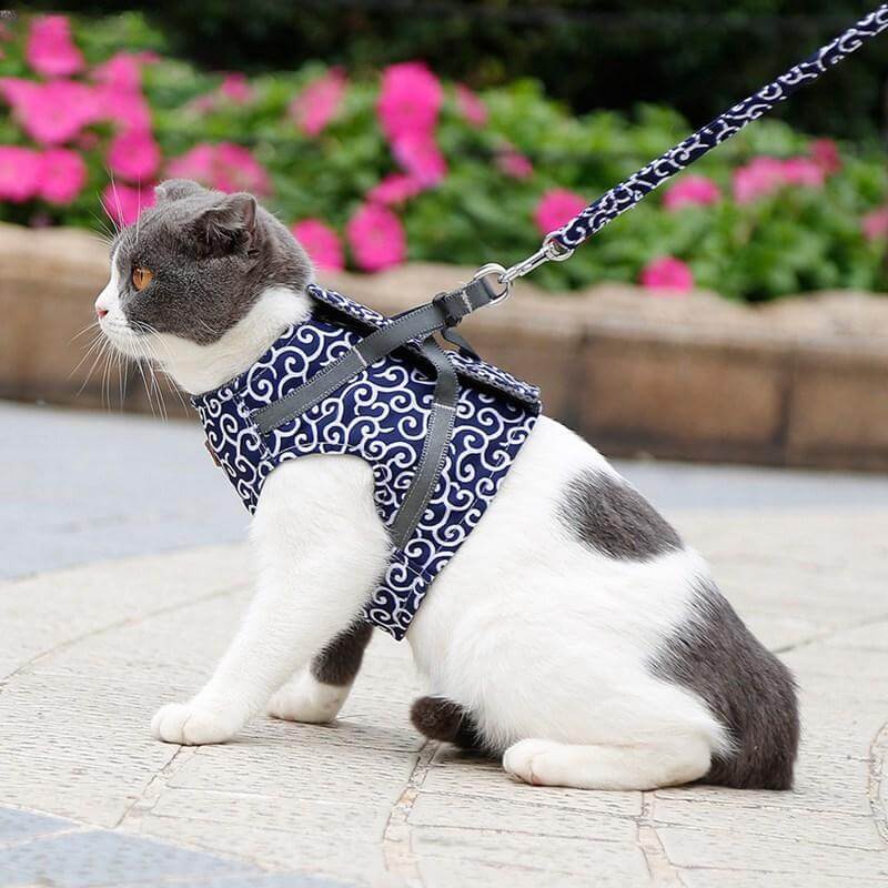 Cat Harness and Leash Set with Adjustable Straps and Mesh Padding