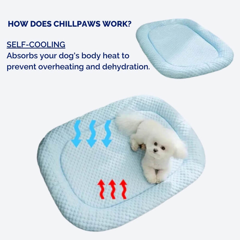 Cooling Dog Bed with Temperature Regulation and Non-Slip for Summer Days