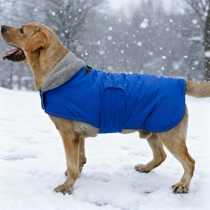 Dog coat with warm lining for various dog breeds for winter use