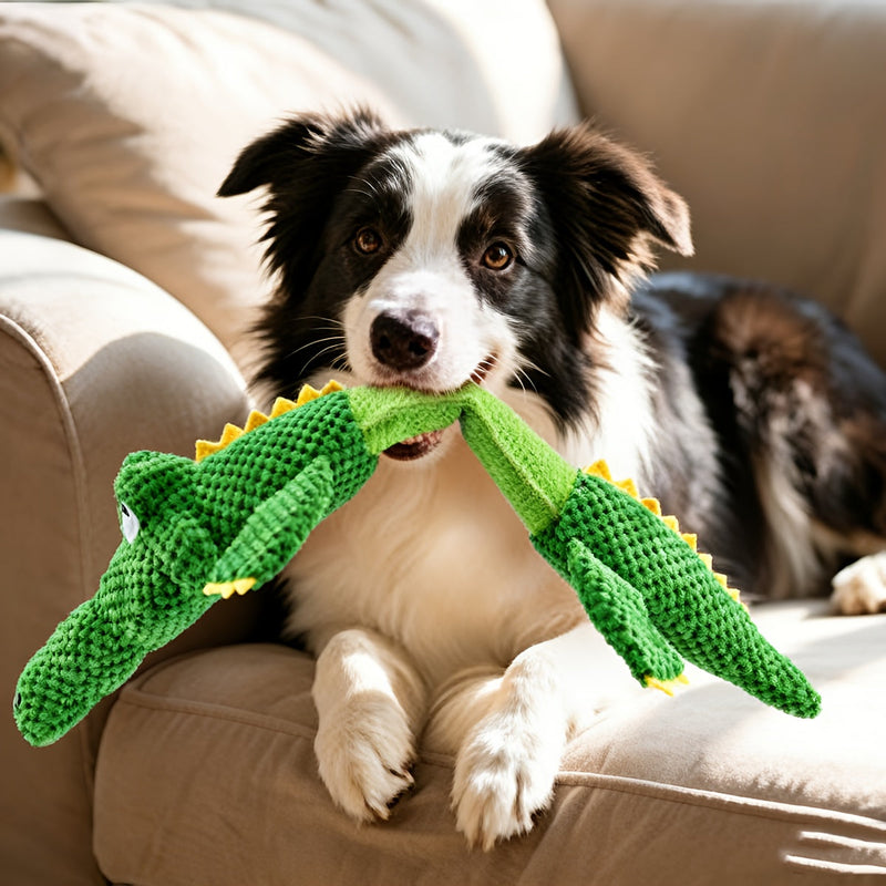 Sturdy Crocodile Dog Toy with Squeaker for Tug-of-War and Interactive Play