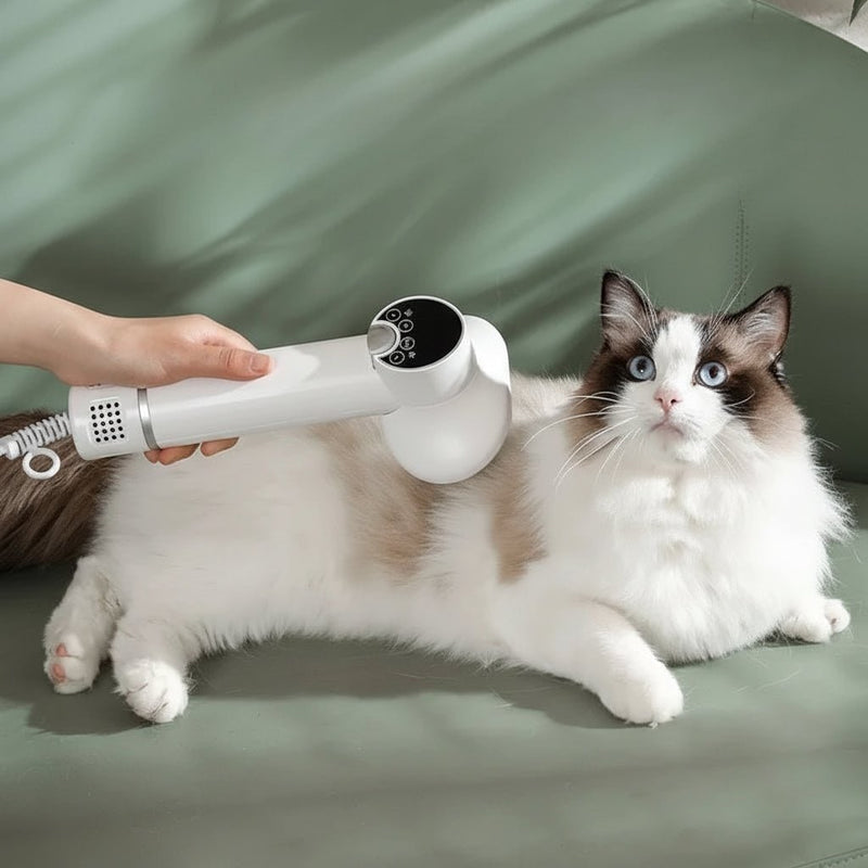 2-in-1 Digital Pet Hair Dryer and Slicker Brush