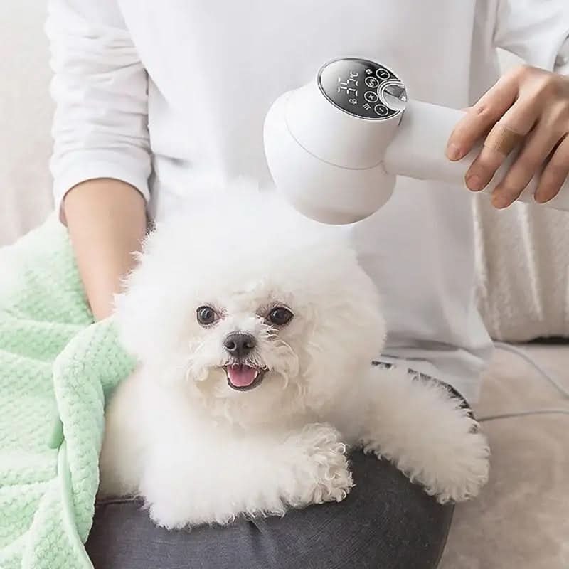 2-in-1 Digital Pet Hair Dryer and Slicker Brush