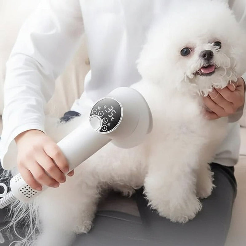 2-in-1 Digital Pet Hair Dryer and Slicker Brush