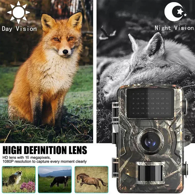 Outdoor Wildlife Camera with Night Vision – Reliable and Weatherproof