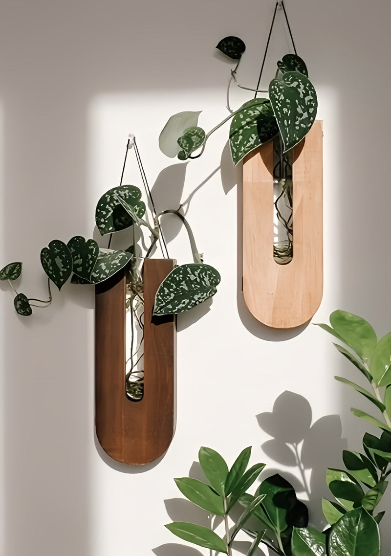 Wooden Wall Plant Holder Set for Houseplants with Minimalist and Natural Design
