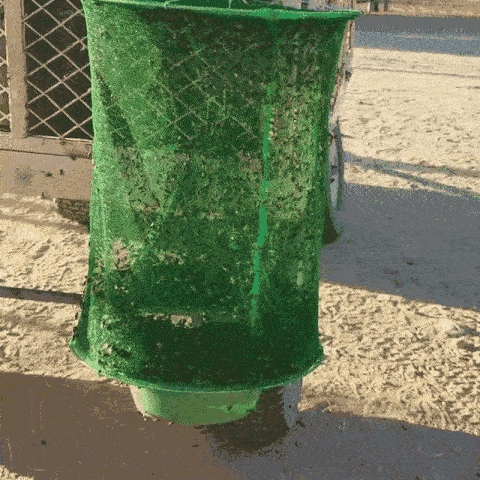 Reusable Hanging Insect Trap for Gardens, Patios and Outdoor Campsites