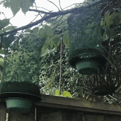 Reusable Hanging Insect Trap for Gardens, Patios and Outdoor Campsites