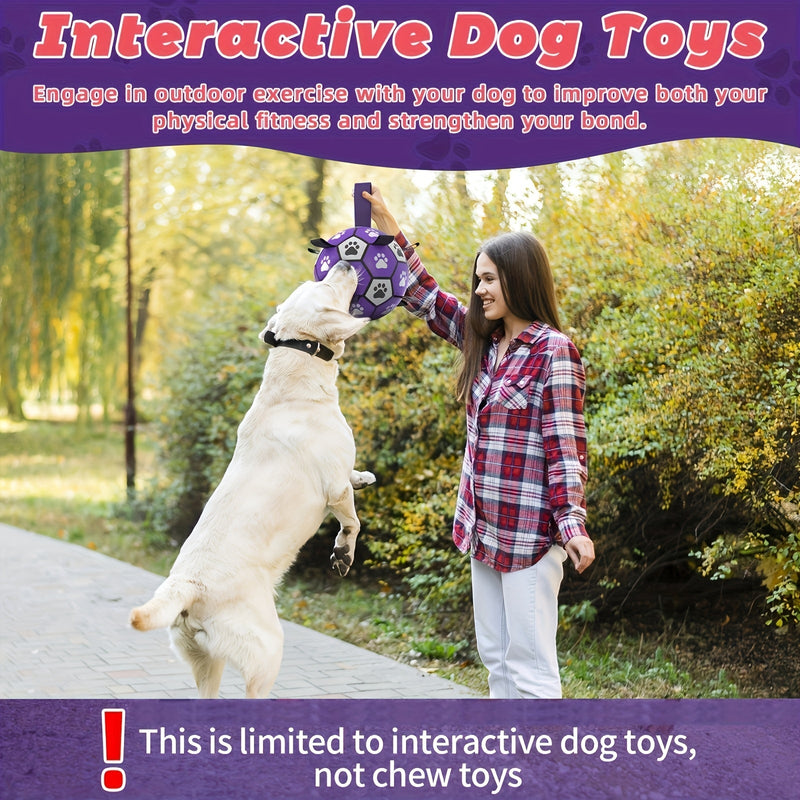 Rubber dog play ball with handles for indoor and outdoor use