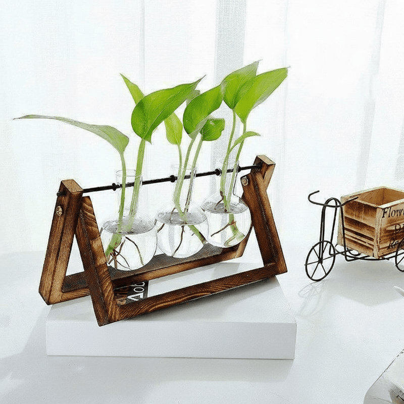 Wooden Plant Propagation Station with Clear Glass Vases