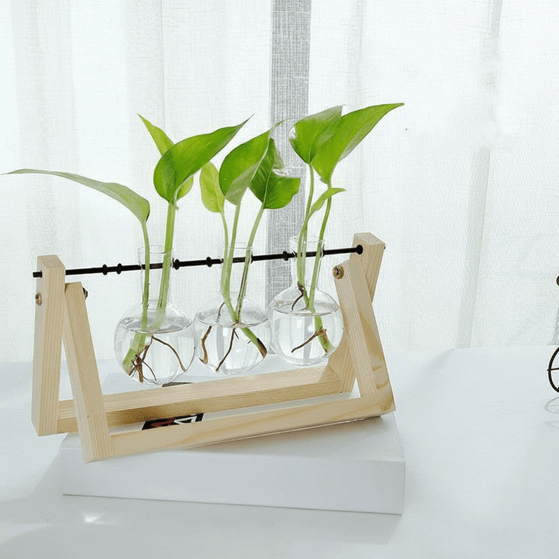 Wooden Plant Propagation Station with Clear Glass Vases