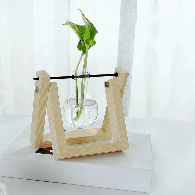Wooden Plant Propagation Station with Clear Glass Vases