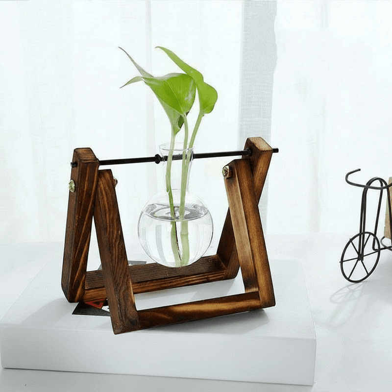 Wooden Plant Propagation Station with Clear Glass Vases