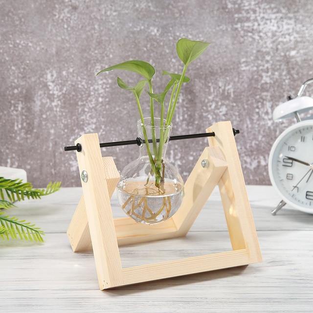Wooden Plant Propagation Station with Clear Glass Vases