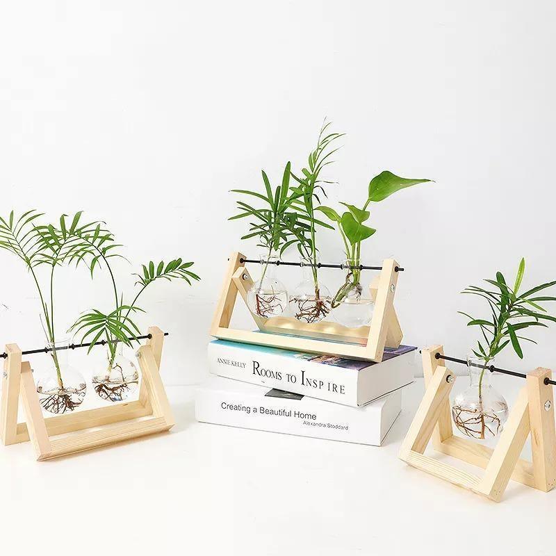 Wooden Plant Propagation Station with Clear Glass Vases