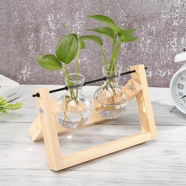 Wooden Plant Propagation Station with Clear Glass Vases