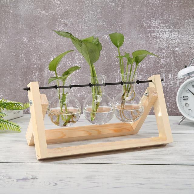 Wooden Plant Propagation Station with Clear Glass Vases