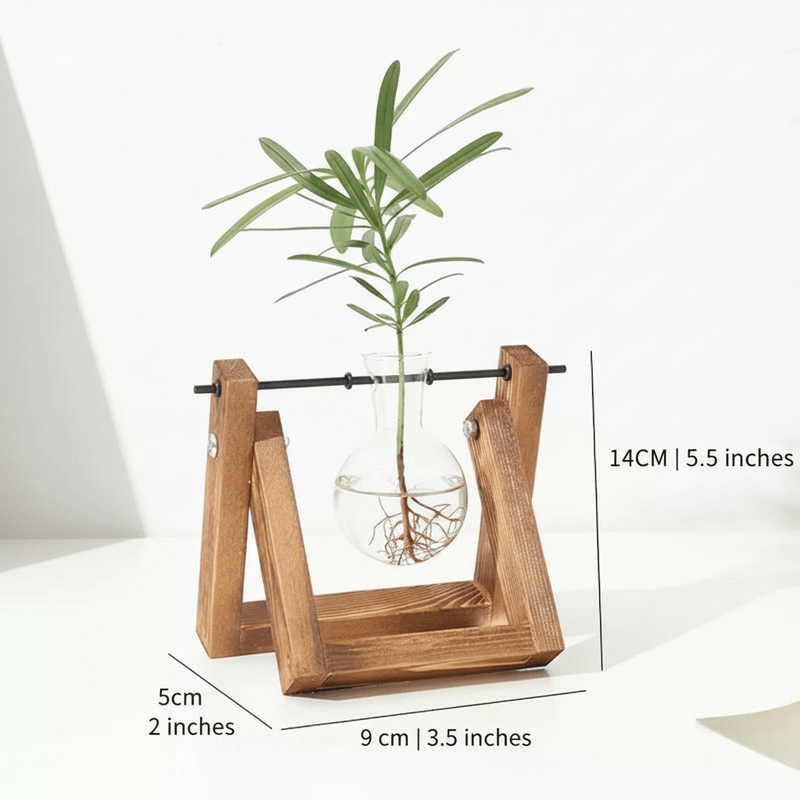Wooden Plant Propagation Station with Clear Glass Vases