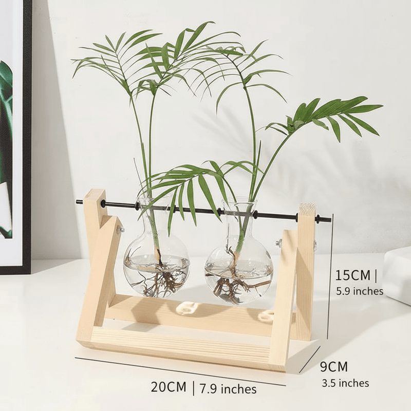 Wooden Plant Propagation Station with Clear Glass Vases