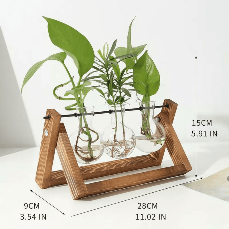 Wooden Plant Propagation Station with Clear Glass Vases