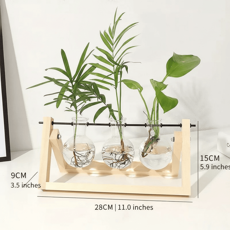 Wooden Plant Propagation Station with Clear Glass Vases