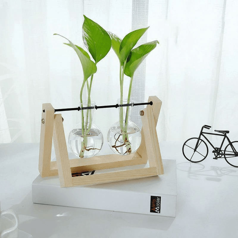 Wooden Plant Propagation Station with Clear Glass Vases