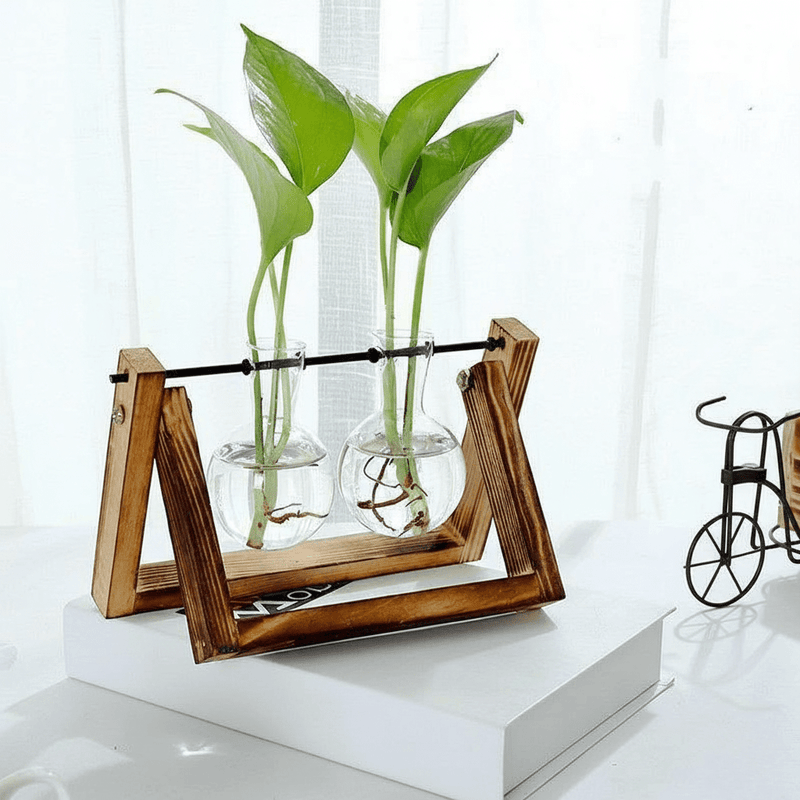 Wooden Plant Propagation Station with Clear Glass Vases