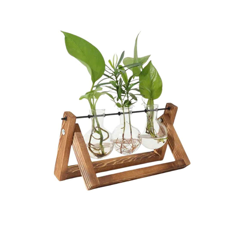 Wooden Plant Propagation Station with Clear Glass Vases