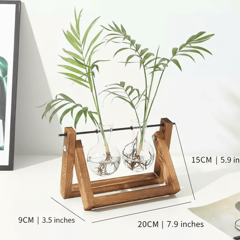 Wooden Plant Propagation Station with Clear Glass Vases