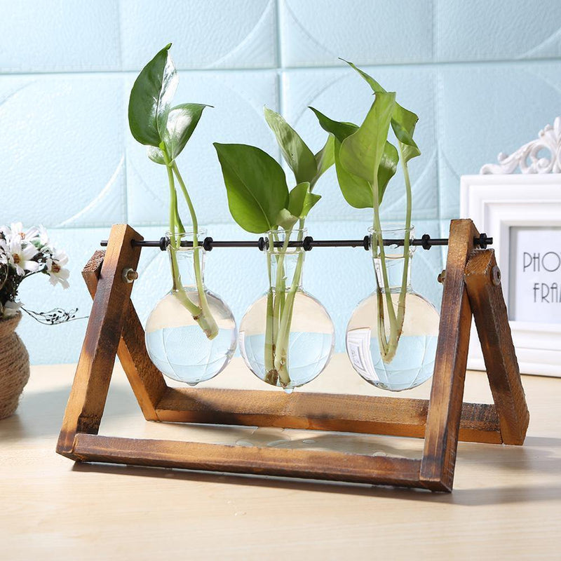 Wooden Plant Propagation Station with Clear Glass Vases