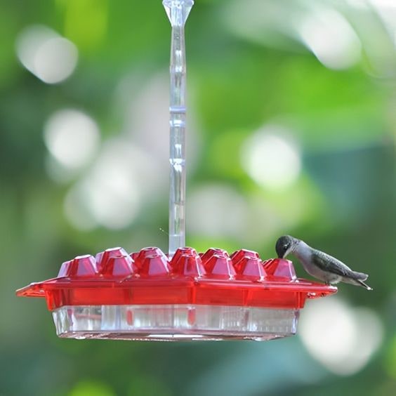 Hanging Hummingbird Feeder with Multiple Feeding Ports