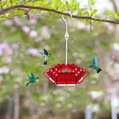 Hanging Hummingbird Feeder with Multiple Feeding Ports