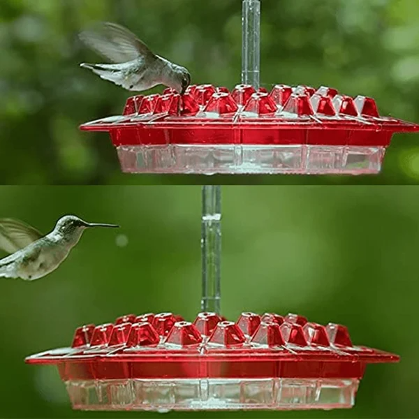 Hanging Hummingbird Feeder with Multiple Feeding Ports