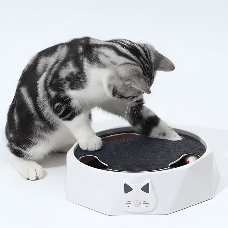 Interactive Motorised Mouse Chase and Scratching Cat Toy