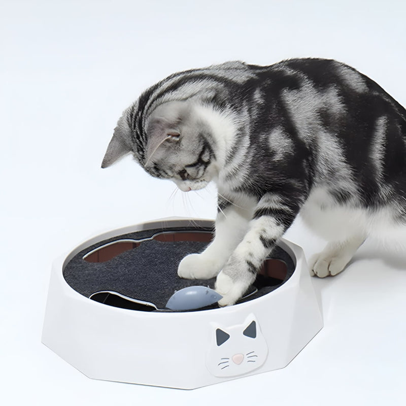 Interactive Motorised Mouse Chase and Scratching Cat Toy