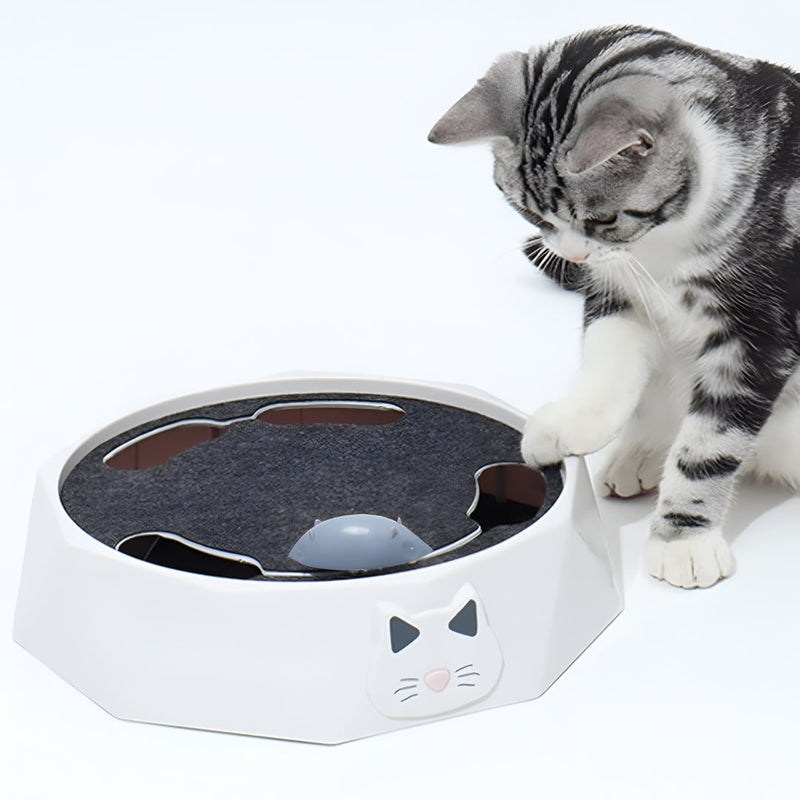 Interactive Motorised Mouse Chase and Scratching Cat Toy